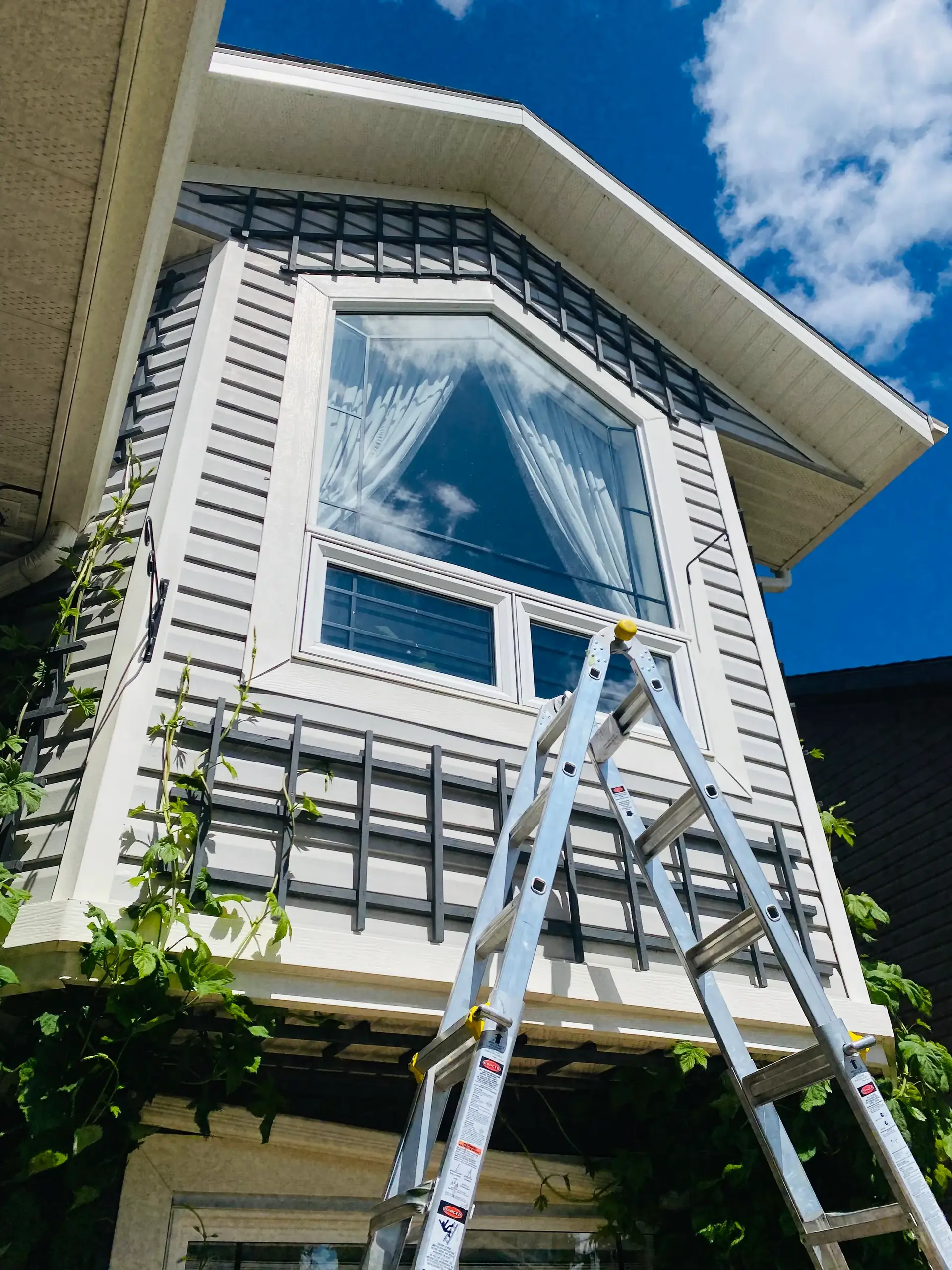 Exterior Window Cleaning 1