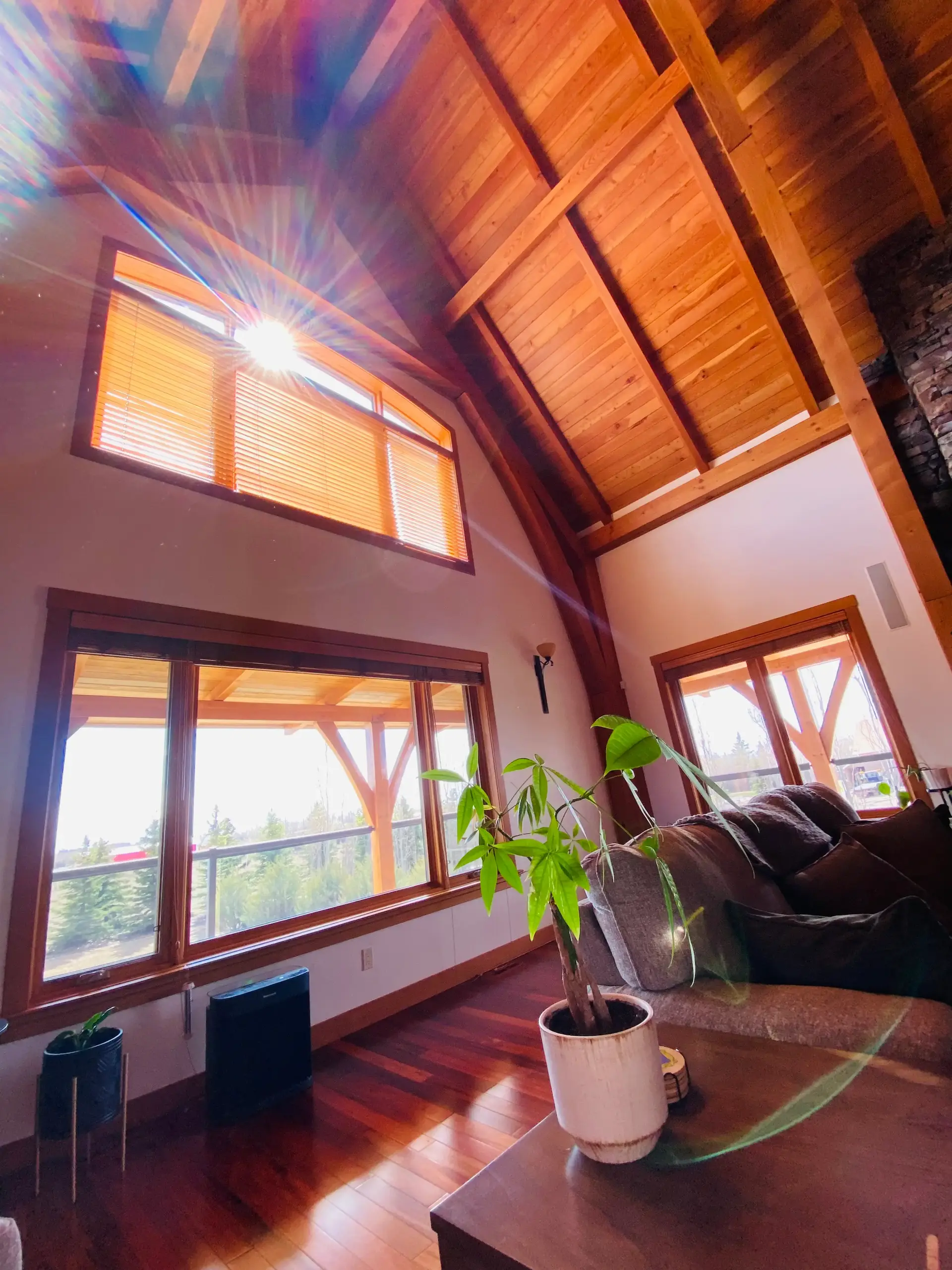 Interior Window Cleaning 7